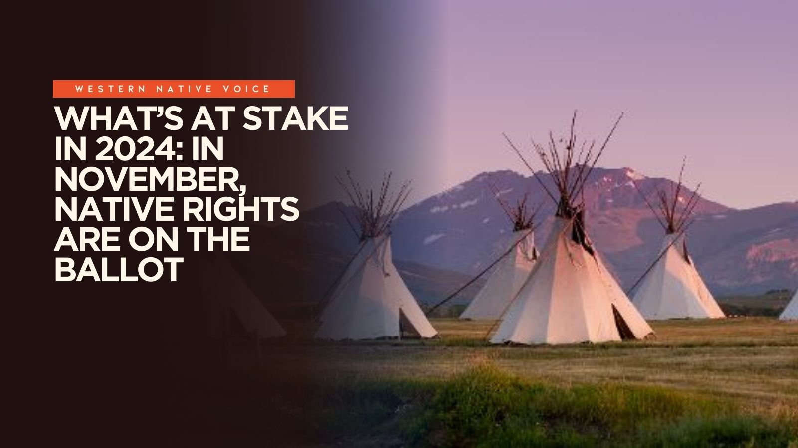 What’s at Stake in 2024: In November, Native Rights Are on the Ballot ...